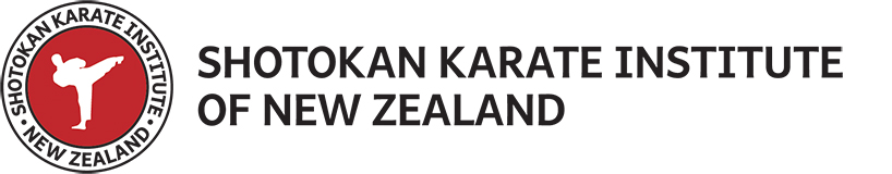 SKINZ-logo main